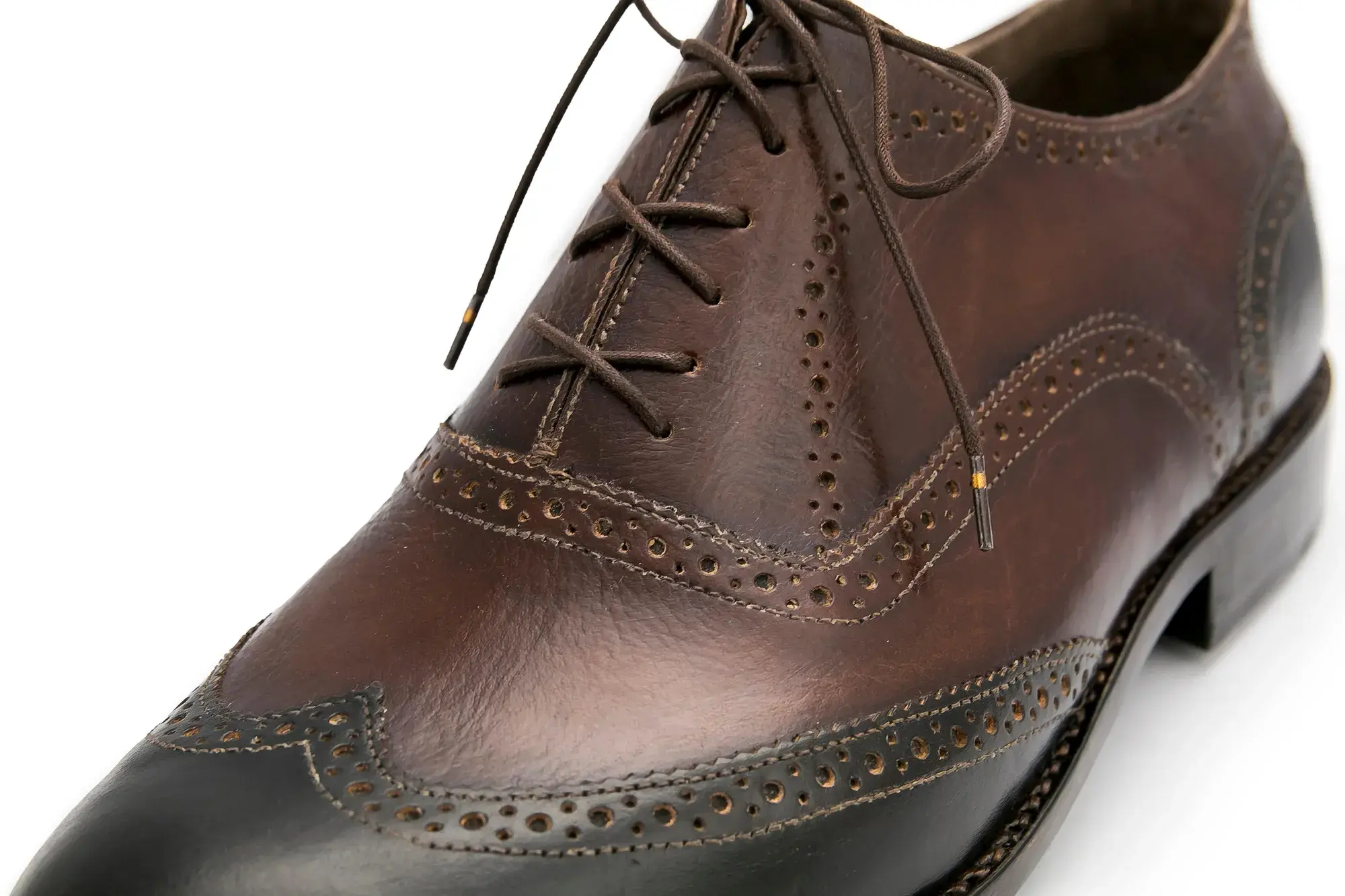 Close-up of a brown and black brogue