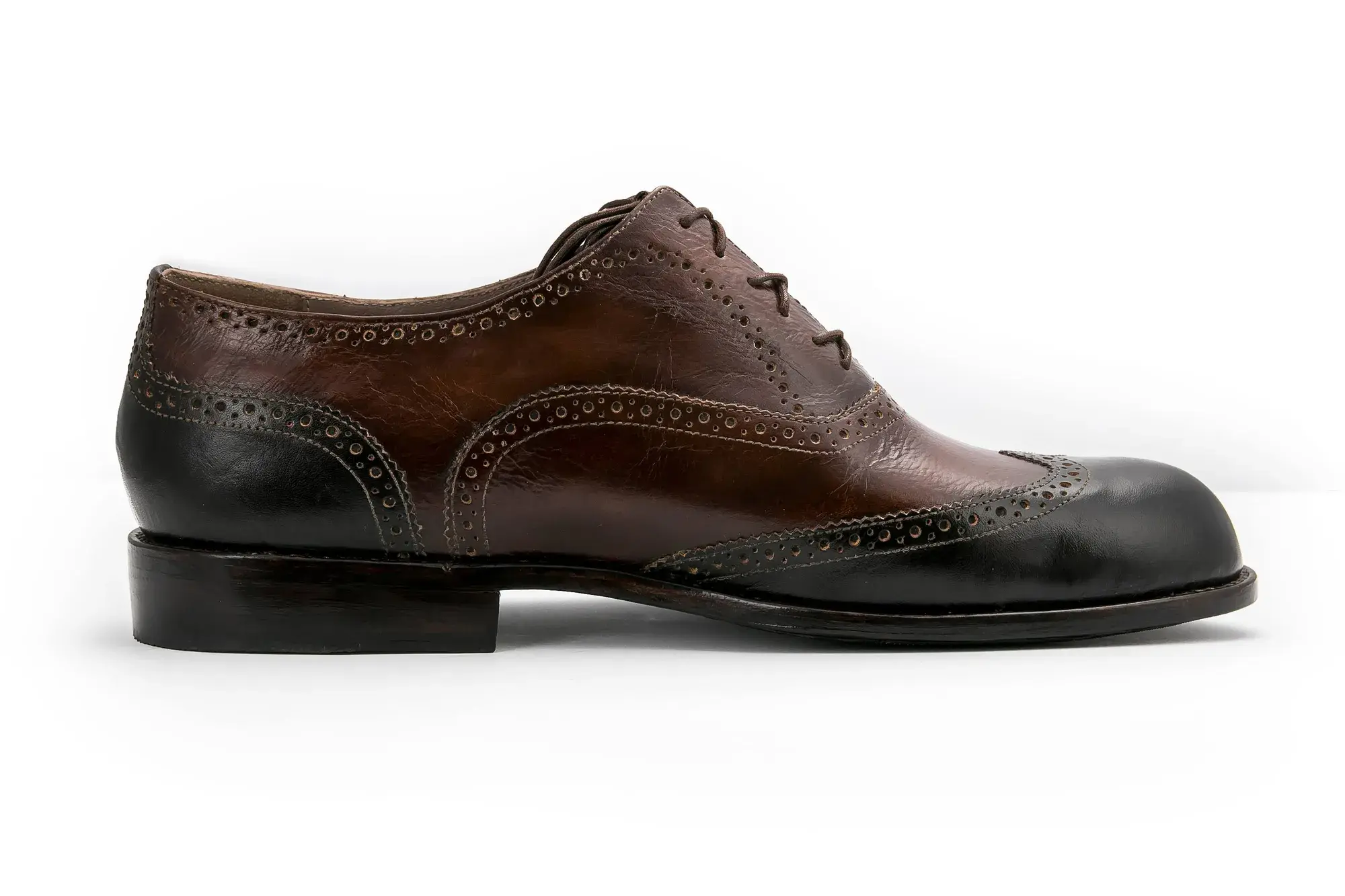 A brown and black brogue in profile