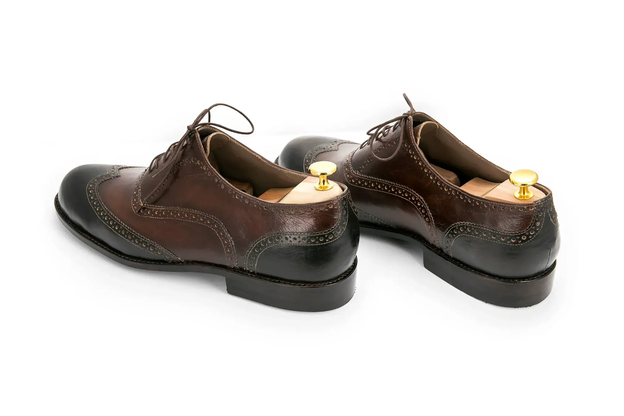 Brown and Black Brogues, seen from behind