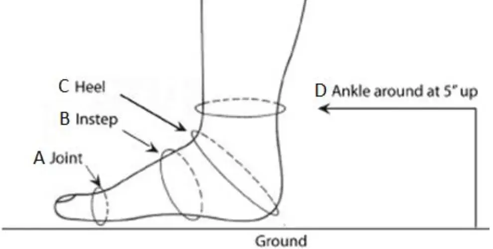 Diagram of a foot marking where to measure the joint, instep, heel and ankle