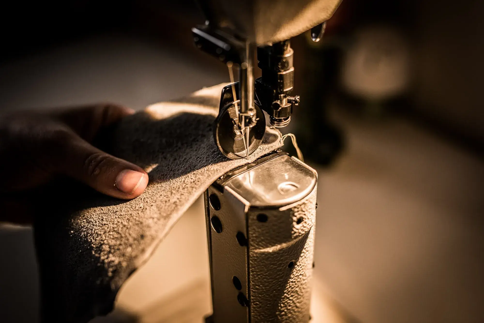 Leather passing under the sewing machine needle, close up